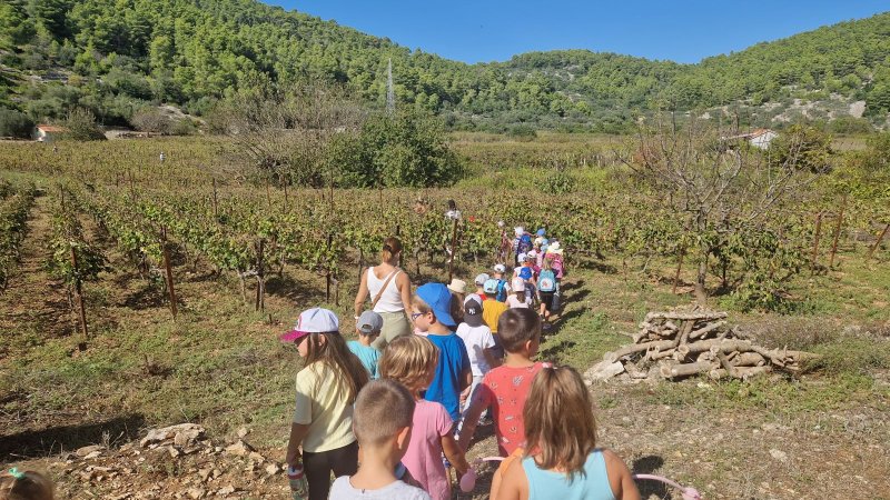 Izlet u vinograd na Vrbovicu