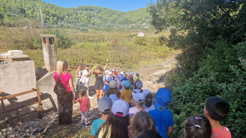 Izlet u vinograd na Vrbovicu