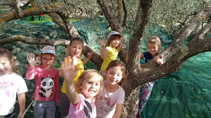 Posjet predškolaca masliniku