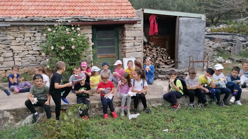 Posjet predškolaca masliniku