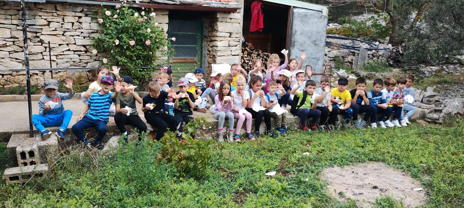 Posjet predškolaca masliniku