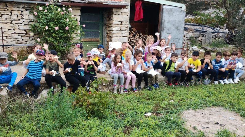 Posjet predškolaca masliniku